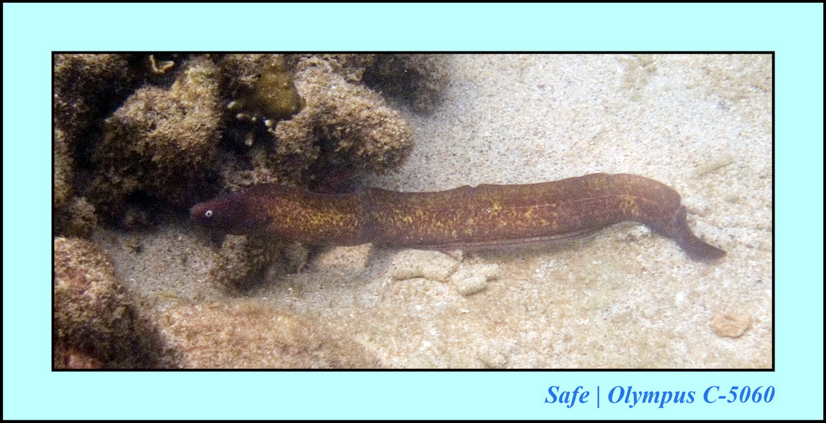 2006 - 07 - Gemia - Plongee solo 10